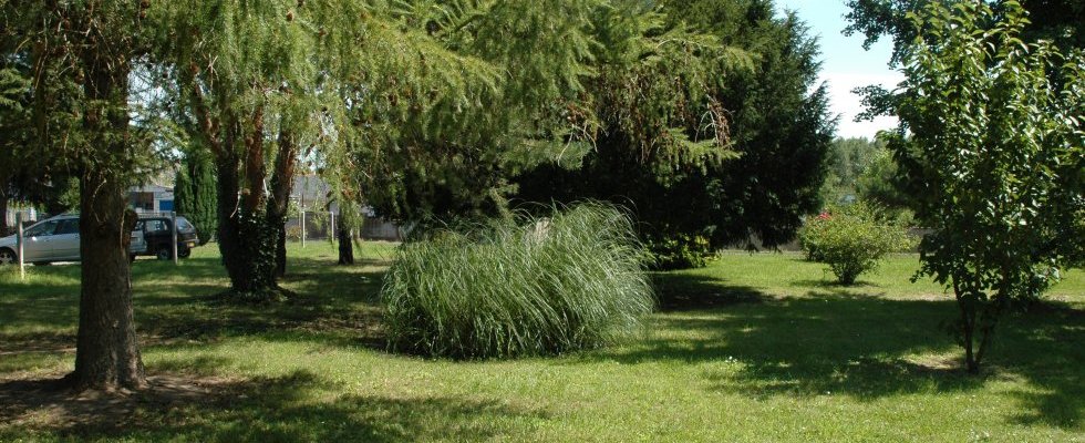 Vue du sous-bois Nord Sud