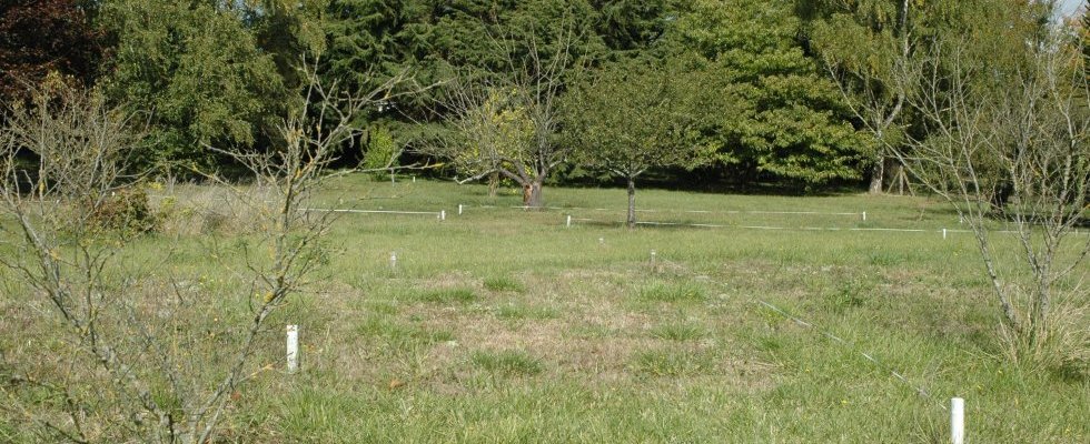 Vue cheminement doux entre parcelles 1 & 2