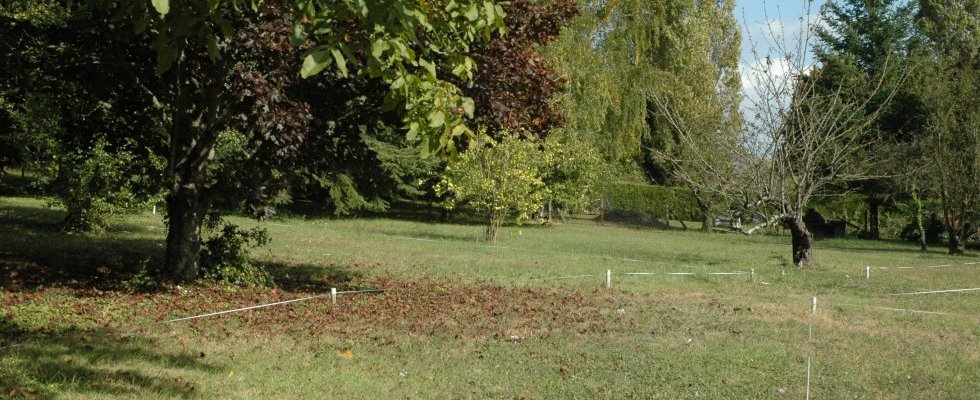 Vue sur parcelles partie haute