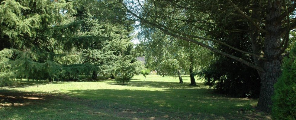 Vue du sous-bois&nbsp;: chemin traversant Est Ouest
