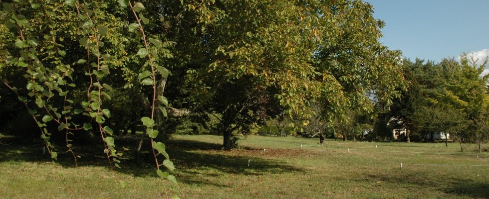 Vue sur parcelles depuis espace parking haut
