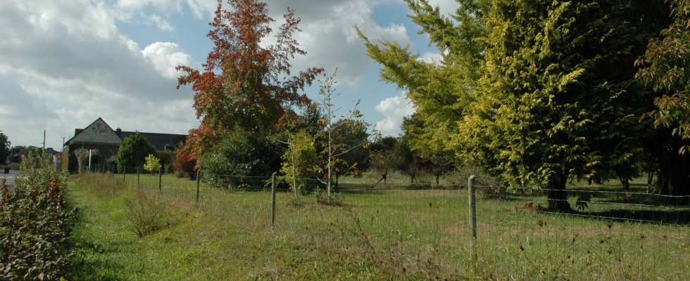 Cheminement doux direction route Pellouailles