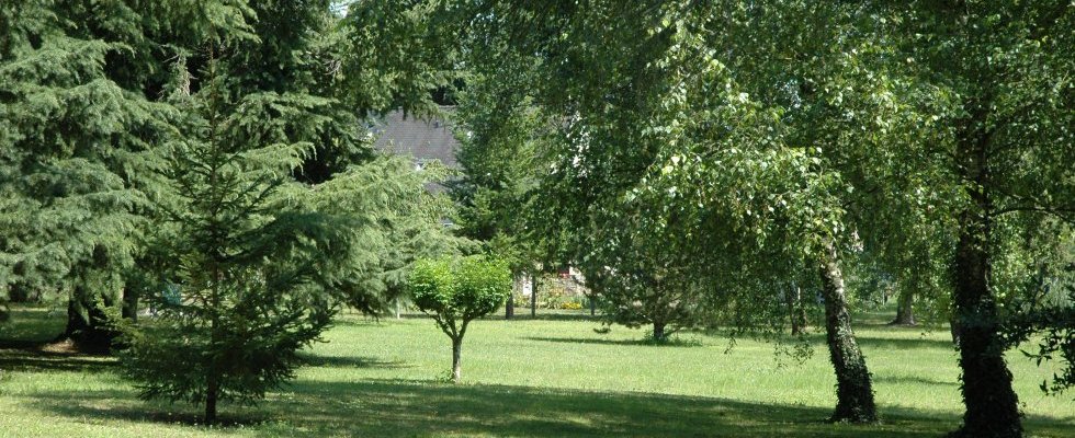 Vue du sous-bois Ouest Est