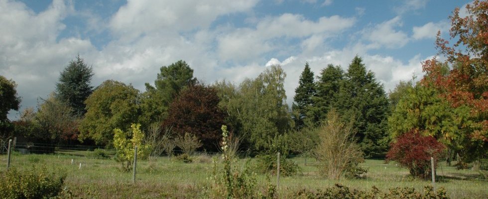 Vue depuis la Rue Jean de Rely