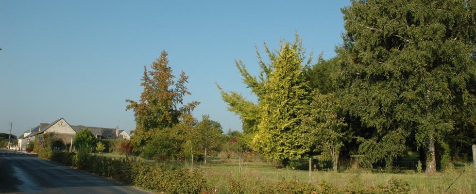Vue depuis la Rue Jean de Rely